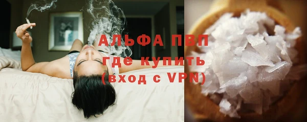 шишки Карпинск