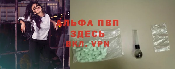 шишки Карпинск