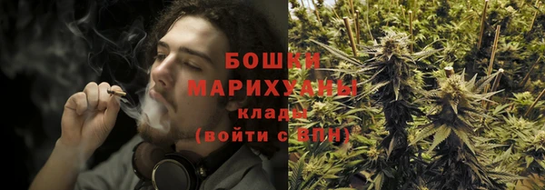 шишки Карпинск