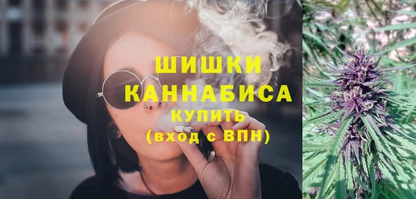 шишки Карпинск