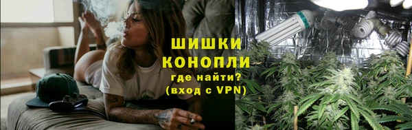 шишки Карпинск