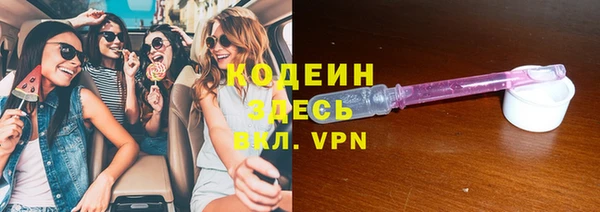 шишки Карпинск