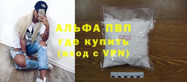 шишки Карпинск