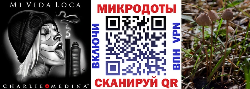 Купить  Барабинск  Псилоцибиновые грибы мицелий 